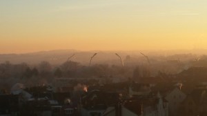 20161204_154926_resized